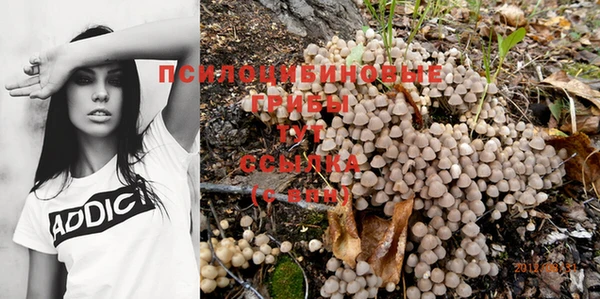 винт Абдулино