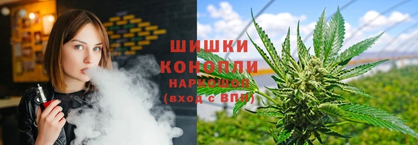 PSILOCYBIN Алексеевка