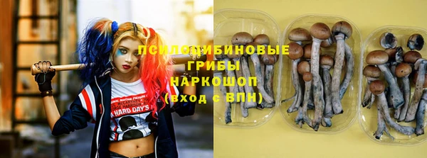 прущая мука Покачи