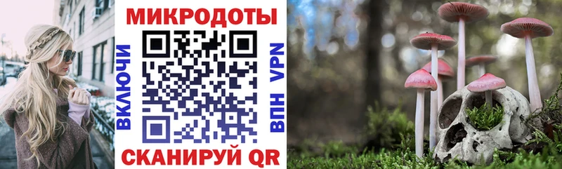 гидра ТОР  Богородицк  Галлюциногенные грибы GOLDEN TEACHER 