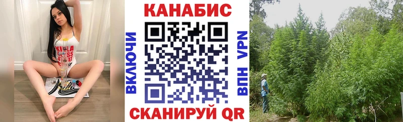 площадка формула  Богородицк  Марихуана ГИДРОПОН 